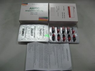 Κίνα Ampicillin κάψες 250MG 500MG BP/φάρμακα πενικιλινών USP προμηθευτής