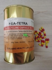 Κίνα Tetracycline κάψες 250MG 500MG BP HCL/φάρμακα αντιβιοτικών USP προμηθευτής