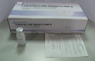 Κίνα Βενζυλικό νάτριο πενικιλίνης για την έγχυση μέγα/5 μέγα αντιβιοτικά φάρμακα 1 εργοστάσιο